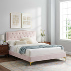 Modway Amber Full Platform Bed with Gold Metal Legs - Pink-VELVET BED - Soft, stain-resistant performance velvet covers the frame of this elegant upholstered bed. Dense foam on the padded headboard creates a supportive place to rest while sitting up in bed