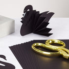 Astrodesigns Cardstock Paper - 12" x 12" - Black - 25 Pack -Ideal for DIY crafting, school projects, scrapbooking, invitations, and more