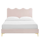 Modway Current Performance Velvet Queen Platform Bed with Gold Metal Legs - Pink-Gold Metal Legs With Non-Marking Caps