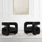 Manhattan Comfort Amirah 28.94" Modern Velvet Upholstered Accent Chair - Black - 2 Pack-Frame Made of High Quality Pine Wood with Brushed Gold Metal Legs for Fashion and Durability