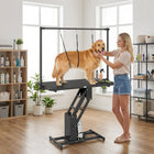 PawHut 43" Hydraulic Dog Grooming Table-Stable metal frame supports a static weight of up to 264 lbs. (120 kg)
