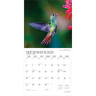 Plato 2026 Hummingbirds Monthly Hanging Wall Calendar - 12" W x 24" H  - English-Large, Roomy Day Blocks - All major holidays and moon phases listed, with plenty of room for writing notes and appointments