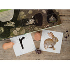 Yellow Door Let's Roll - Forest Friends Rollers - Set of 6-7