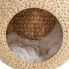 PawHut Mounted Condo Cat Wall Shelf with Cushion - Beige-Great for climbing, perching, and lounging 