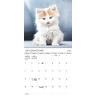 DateWorks 2026 16-Month Wall Calendar - 12" x 12" - Cuddly Kittens - Bilingual-September 2025 - December 2026