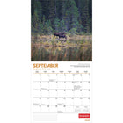 Wyman Publishing 2026 Canadian Geographic Moose Official Monthly Hanging Wall Calendar - 12" W x 24" H  - English-Large, Roomy Day Blocks - All major holidays and moon phases listed, with plenty of room for writing notes and appointments