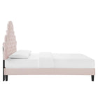 Modway Gwyneth Tufted Performance Velvet Full Platform Bed with Black Wood Legs - Pink-Bed Frame Weight Capacity: 800 lb