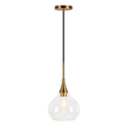 Hudson&Canal Ida 9.5" Wide Pendant with Glass Shade - Brass/Clear-Paired with a clear teardrop glass shade