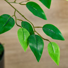 HOMCOM 4.5' Artificial Ficus Tree with Realistic Leaves for Indoor - Green-Material: PEVA, PE, Cement 