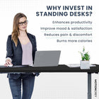 MotionGrey Electric Dual Motor Height Adjustable 165" W Sit-to-Stand Desk - Black Frame-9