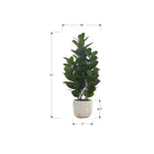 Monarch Specialties 31" Artificial Indoor Garcinia Tree - Floor - White Cement Pot-This easy-care faux potted plant is made from the highest quality materials and requires no maintenance or watering, for a sustainable, environmentally friendly decorative accent that will last a lifetime