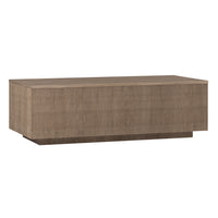 Hudson&Canal Reyes 48"W Rectangular Coffee Table - Antiqued Grey Oak-A modern contemporary design for your living room, den, and more
