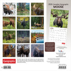 Wyman Publishing 2026 Canadian Geographic Moose Official Monthly Hanging Wall Calendar - 12" W x 24" H  - English-Durable Construction - Sturdy, high-quality paper resists curling and ink bleed-through, and durable binding ensures longevity throughout the year
