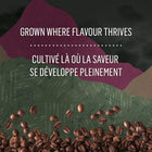McCafé High Grown Organic Dark Roast - K-Cup Coffee Pods - 24 Pack-8