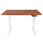 Ezywork 48" Electric Height Adjustable Standing Desk - White Frame/Dark Walnut Table Top-Desktop Size: 47.2"W x 29.5"D (120cm x 75cm)