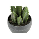 Monarch Specialties 6" Artificial Indoor Succulent Green Plants - Table - Grey Cement Pots - Set of 3-Product dimensions: 4 in. L x 4.5 in. W x 5.75 in. H: 4 in. L x 4.5 in. W x 5.5 in. H: 4 in. L x 4.5 in. W x 4.25 in. H