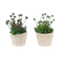 Monarch Specialties 9365 9" Tall Artificial Succulents - Beige Cement Pots - Set of 2-This set of 2 artificial plants features 9" tall artificial succulents designed to add a modern decorative touch to any table, shelf, or surface in your home or office