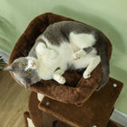 PawHut 41" Cat Tree with Scratching Posts, Bed and Condo - Brown-Anti-tip kit included for improved safety and stability 
