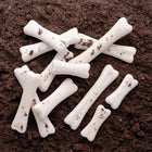 Yellow Door Dinosaur Bones Discovery 12-Piece Set-Durable enough to be used throughout an early years
