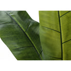 Monarch Specialties 55" Artificial Indoor Banana Tree - Floor - Black Pot-5 year limited warranty against manufacturer's defects