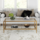 Hudson&Canal Hera 45"W Rectangular Coffee Table with Glass Shelf - Antique Brass-Features easy assembly