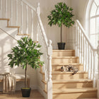 Outsunny 3' Artificial Laurel Tree in Pot - Green - 2 Pack-Completely artificial, meaning it will looks great all year round and requires no upkeep 