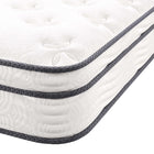 Modway Jenna 8" Innerspring and Foam Twin Mattress-1 Year Limited Manufacturer Warranty