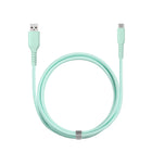 Basic Tech 6 foot Type-C Braided Cable - Mint-Includes organization strap