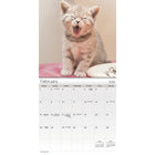 DateWorks 2026 16-Month Mini Wall Calendar - 7" x 7" - Cuddly Kittens - English-Animals
