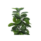 Monarch Specialties 52" Artificial Indoor Rubber Tree - Floor - Black Pot-6