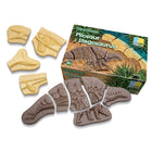 Yellow Door Dig and Discover - Pliosaur & Stegosaurus-Children will love unearthing these chunky skeleton pieces from sand or soil, assembling them to form two remarkable creatures.