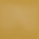 Modway Belmonte 45" Painted Wood Round Pedestal Dining Table - Mustard-9