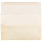 JAM Paper A10 Translucent Vellum Invitation Envelopes - 6" x 9.5" - Spring Ochre Ivory - 25 Pack (PACV850)-Size: A10 (6 x 9.5 inches)