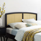 Modway Halcyon Cane Full Headboard - Black-Linear Wood Detail