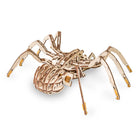 EWA Eco-Wood-Art Spider 3D Wooden STEM Construction Kit - Set of 293-Eco-friendly 3D STEM model to assemble and customize at school or home