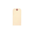 Accuform Signs - Manille Étiquettes vierges - Papier cartonné - 2-1/8" L x 4-1/4" H - Paquet de 100-Construit en papier 10 points