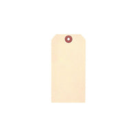 Accuform Signs - Manille Étiquettes vierges - Papier cartonné - 2-1/8" L x 4-1/4" H - Paquet de 100-Construit en papier 10 points