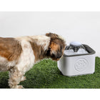 As Seen on TV Paw Perfect Pet Portable Water Fountain-Safe and Easy to Use - This fountain is safe and non-toxic, BPA Free!