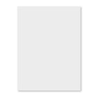 Royal Brites Illustration Board - 20" x 30" - White-White colour