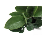 Monarch Specialties 20" Artificial Indoor ZZ Plant - Table - Grey Cement Pot-5 year limited warranty against manufacturer's defects