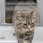 PawHut Enclosed Cat Litter Box with Scoop, Tray, Top Entry and Foldable - Grey-Roominess enhances comfort 