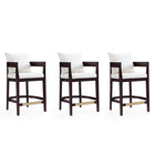 Manhattan Comfort Ritz 22" Mid-Century Modern Faux Leather Upholstered Counter Stool - Ivory and Dark Walnut - 3 Pack-Mid-Century Modern Counter Stool with Backseat Perfect for Bar and Kitchen Use. Set of 3