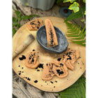 Yellow Door Dig and Discover - Ankylosaurus & Tyrannosaurus Rex-7