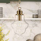 Hudson&Canal Annie 9.13" Wide Pendant with Glass Shade - Brass/Clear-Handcrafted brass finish is applied to the gourd metal base