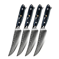 Minimal 4-Pieces Damascus Black Stone Steak Knife Set, Service for 4-Forged 67-layer Damascus steel with the VG10 steal core