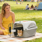 PawHut 19" L Plastic Airline Approved Pet Carrier - Grey-For mini pets under 9 lbs. (4 kg) and body length no more than 11.8" (30 cm) to stand and turn 