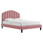 Modway Daisy Performance Velvet Queen Platform Bed with Tapered Wood Legs - Dusty Rose-Vintage Modern Queen Bed