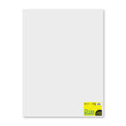 Royal Brites Illustration Board - 20" x 30" - White-Durable construction