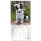 Mead 2027 Decorative Wall Calendar - 12" x 12" - Puppies - Bilingual-Printed on quality paper for clarity and durability throughout the year