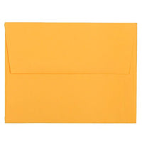 JAM Paper A10 Translucent Vellum Invitation Envelopes - 6" x 9.12" - Terracotta Red - 25 Pack -Colour: Pewter Gray 